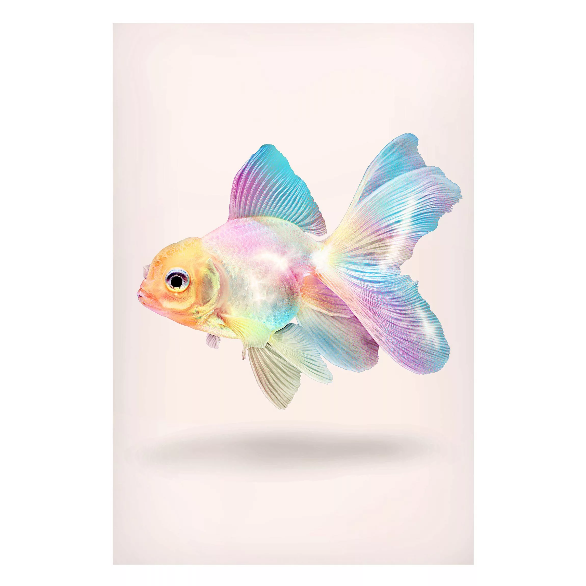 Magnettafel Tiere - Hochformat 2:3 Fisch in Pastell günstig online kaufen