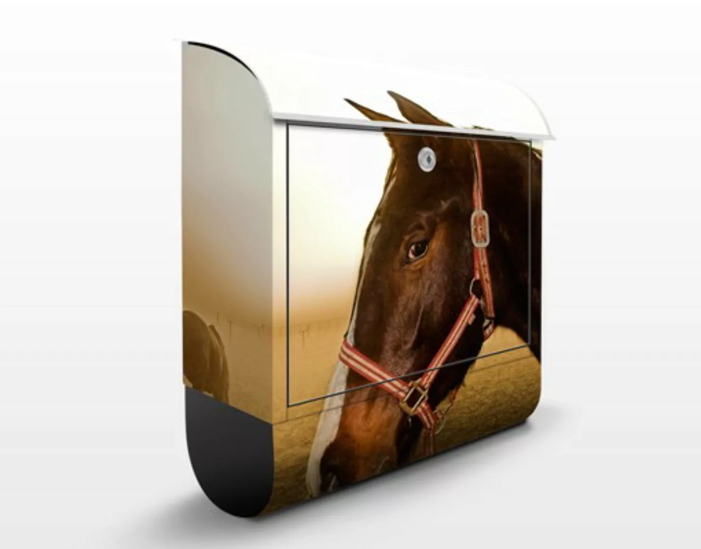 Briefkasten Tiere Early Horse günstig online kaufen