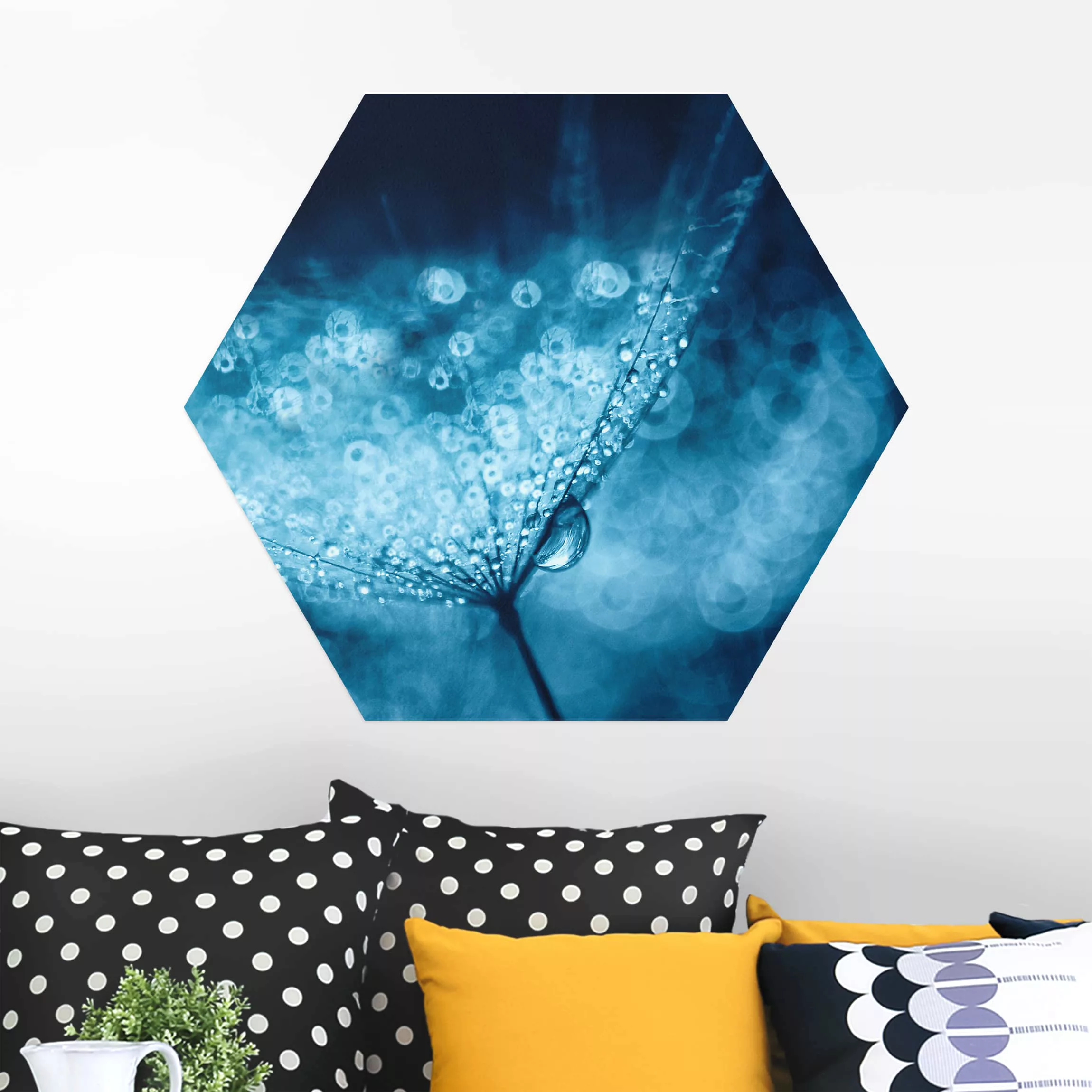 Hexagon-Alu-Dibond Bild Blumen Blaue Pusteblume im Regen günstig online kaufen