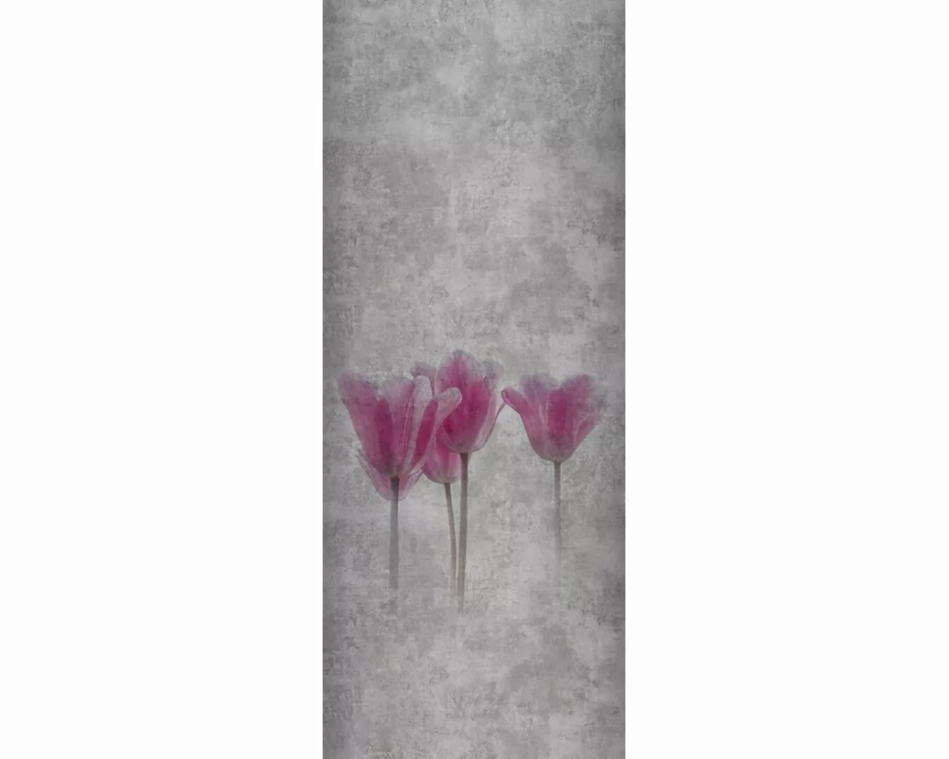 Dekopanel "Graue Wand" 1,00x2,50 m / selbstklebende Folie günstig online kaufen