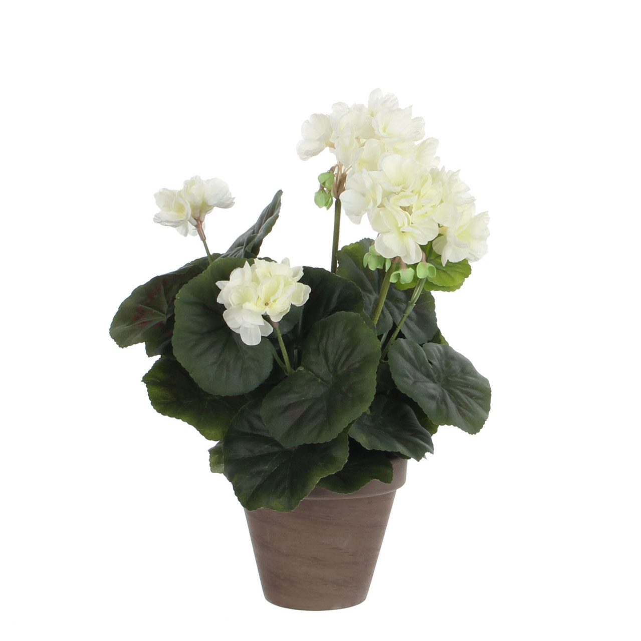 Kunstpflanze Mica Geranium im Topf creme, günstig online kaufen