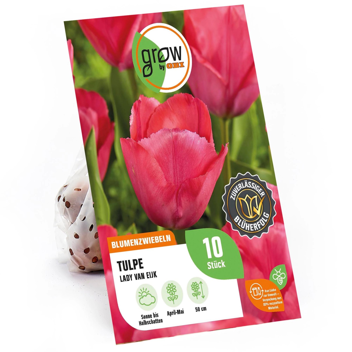 GROW by OBI Tulpe Darwin Hybrid Lady van Eijk Rosa-Rot 50 cm Tulipa günstig online kaufen