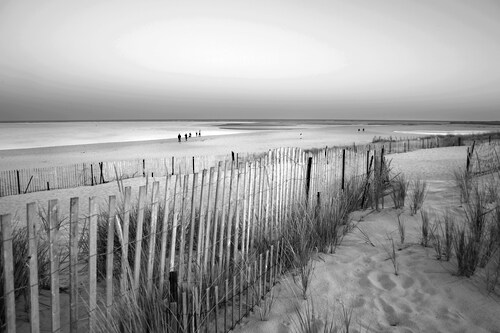 Papermoon Fototapete »Strand Schwarz & Weiß« günstig online kaufen