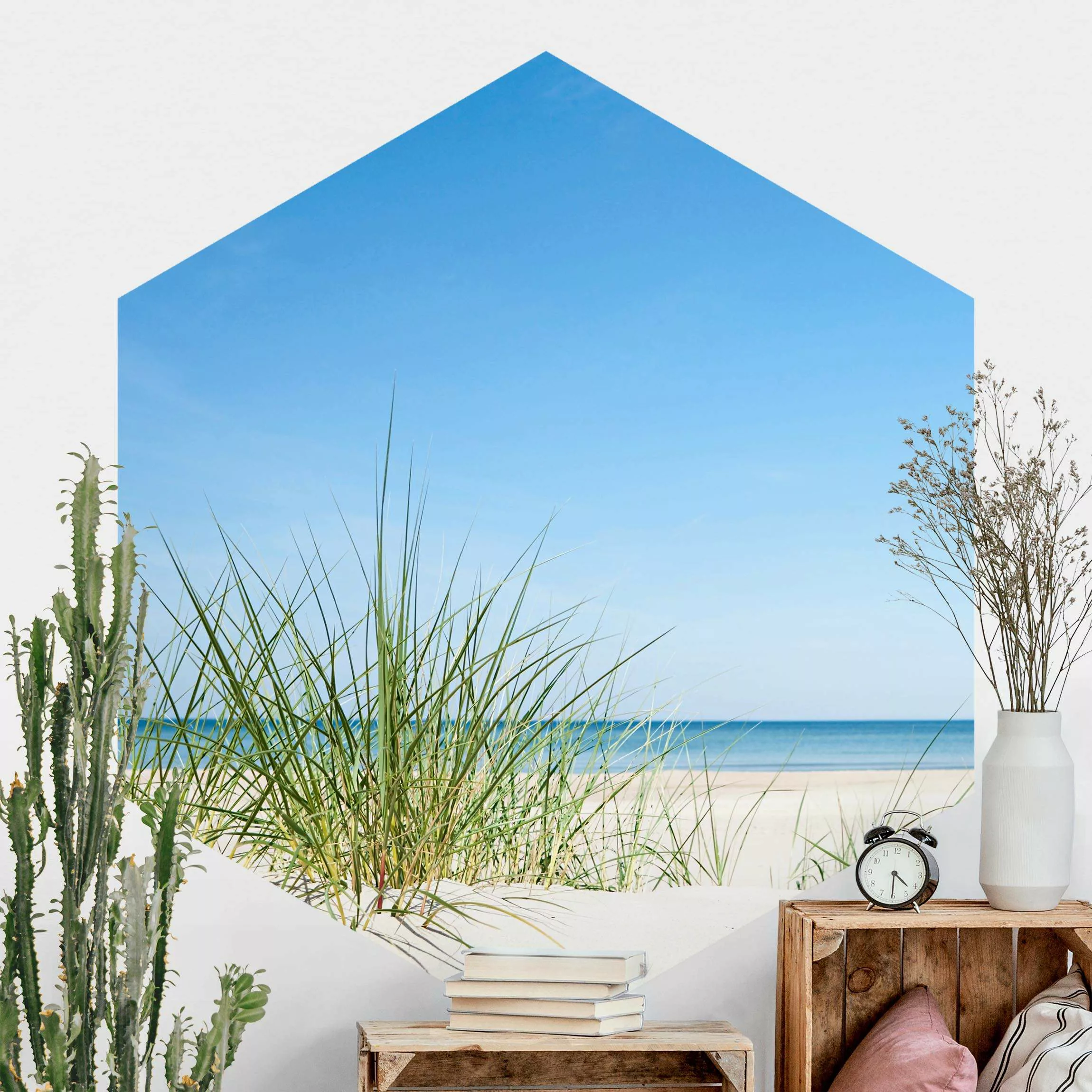 Hexagon Fototapete selbstklebend Ostseeküste günstig online kaufen