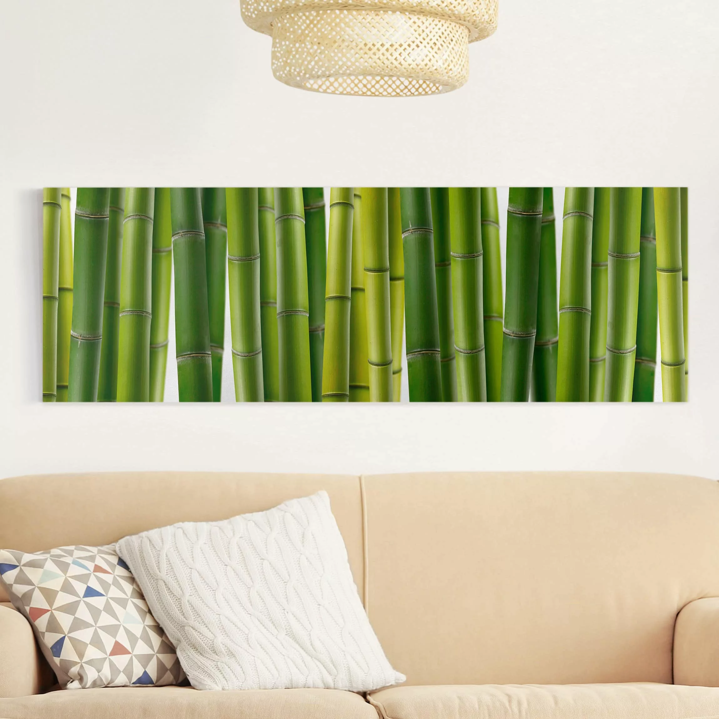 Leinwandbild Bambus - Panorama Bambuspflanzen günstig online kaufen