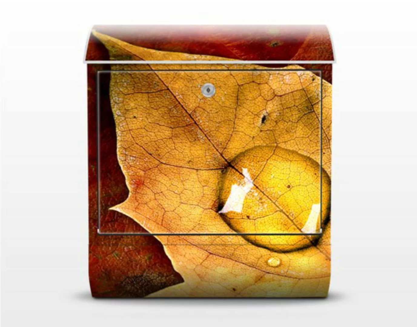 Briefkasten Natur & Landschaft Magical Leaf günstig online kaufen