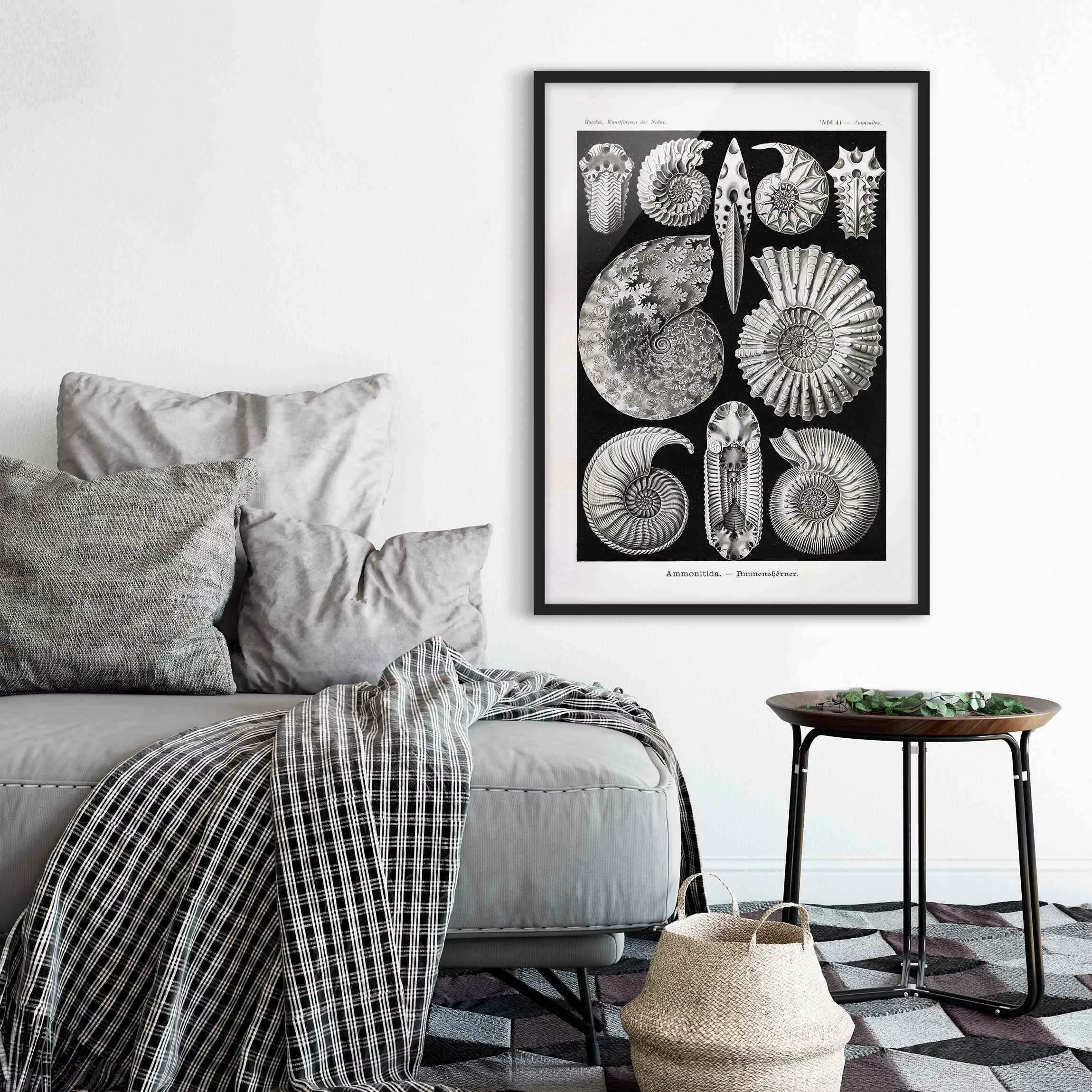 Bild mit Rahmen Tiere - Hochformat Vintage Lehrtafel Fossilien Schwarz Weiß günstig online kaufen