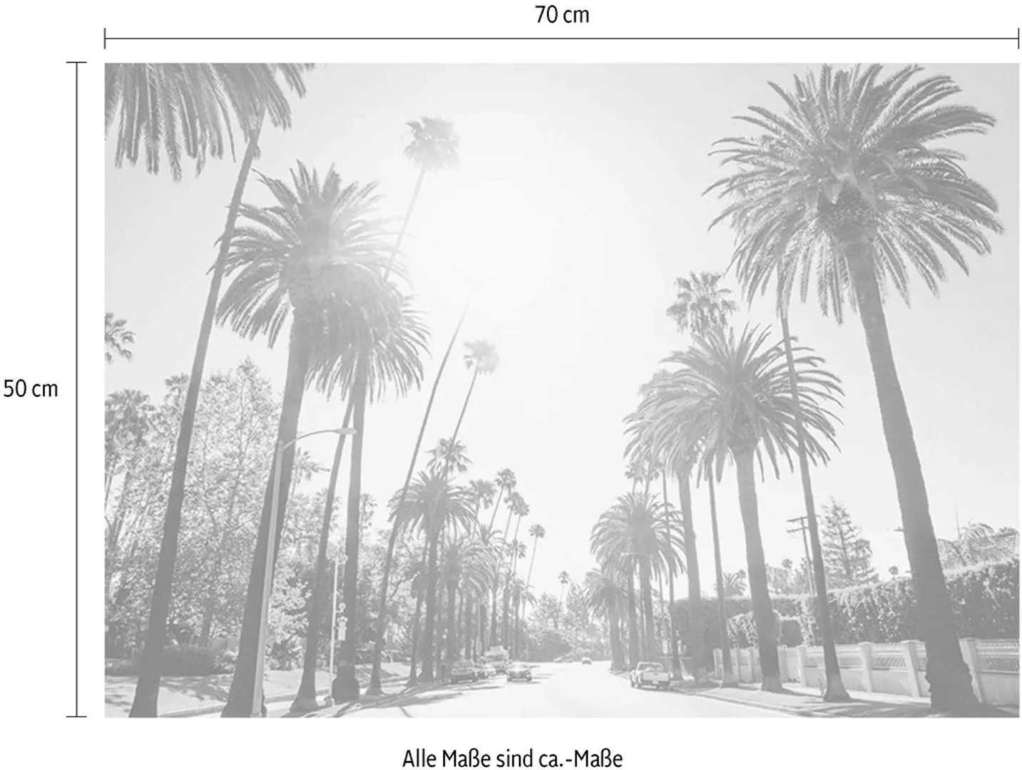 Komar Bild "Palm Alley", Städte, (1 St.), Wandbild zur Dekoration - ohne Ra günstig online kaufen
