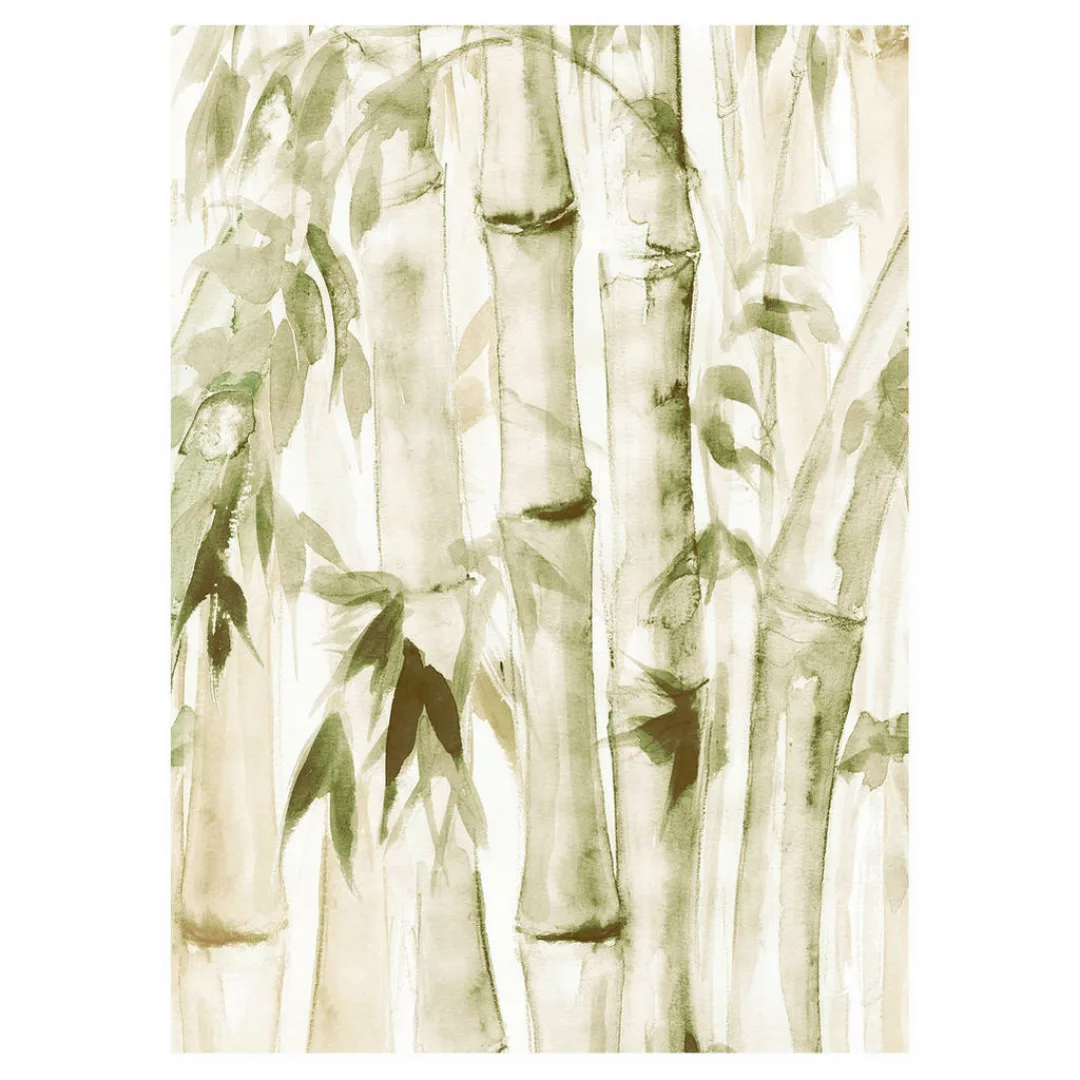 Komar Wandbild Wild Bamboo Bambus B/L: ca. 50x70 cm günstig online kaufen