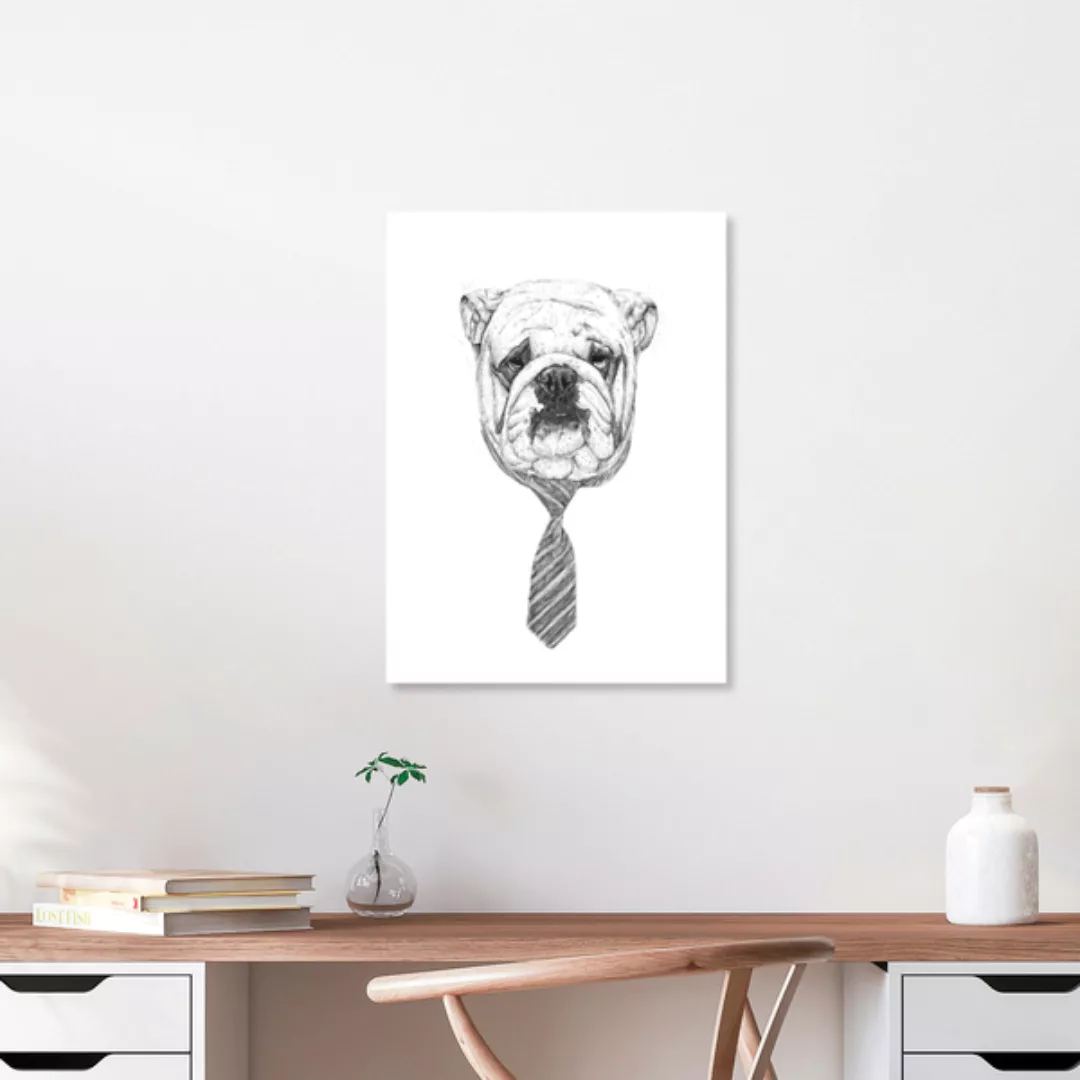 Poster / Leinwandbild - Cooldog günstig online kaufen