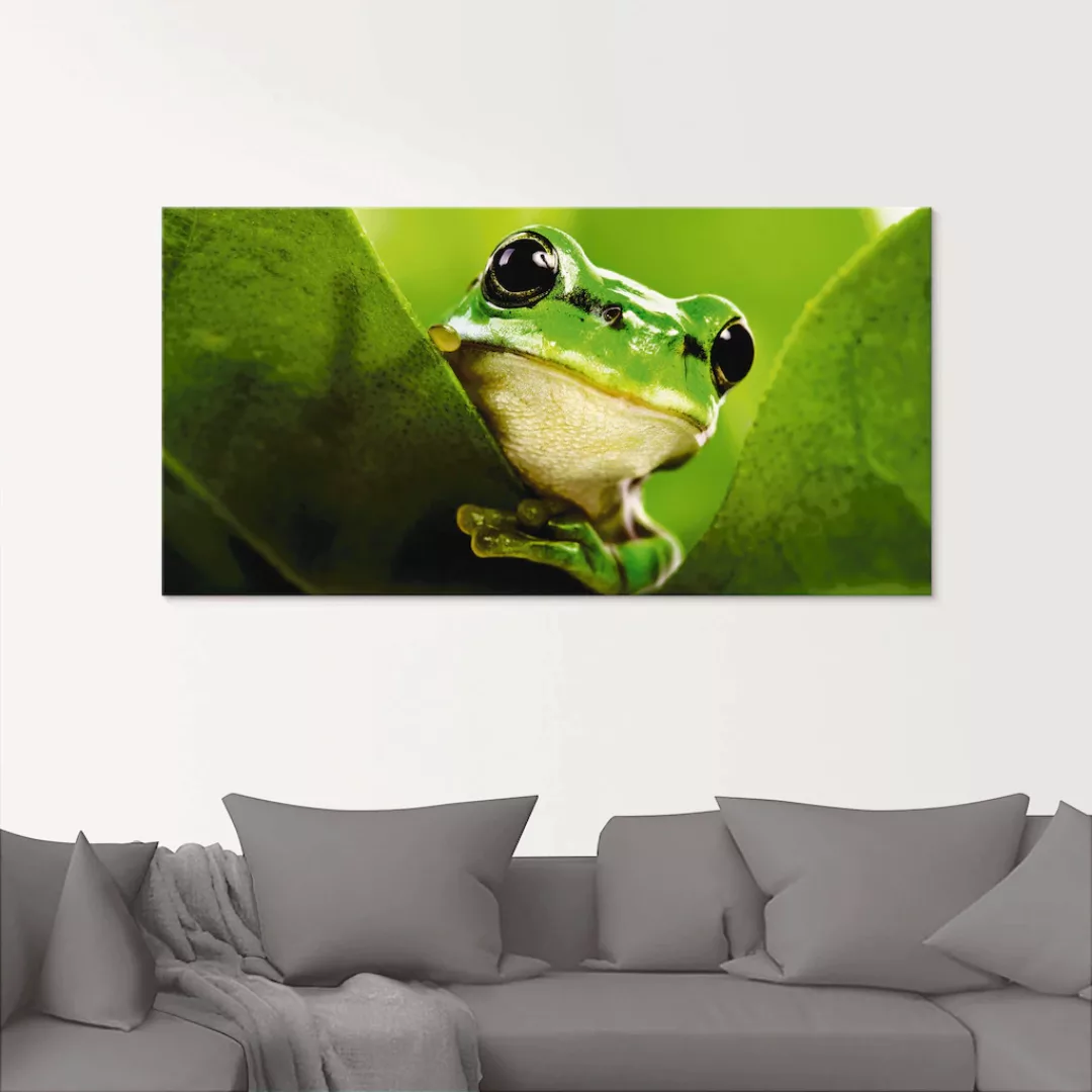 Artland Glasbild »Ausspähender Frosch«, Wassertiere, (1 St.), in verschiede günstig online kaufen