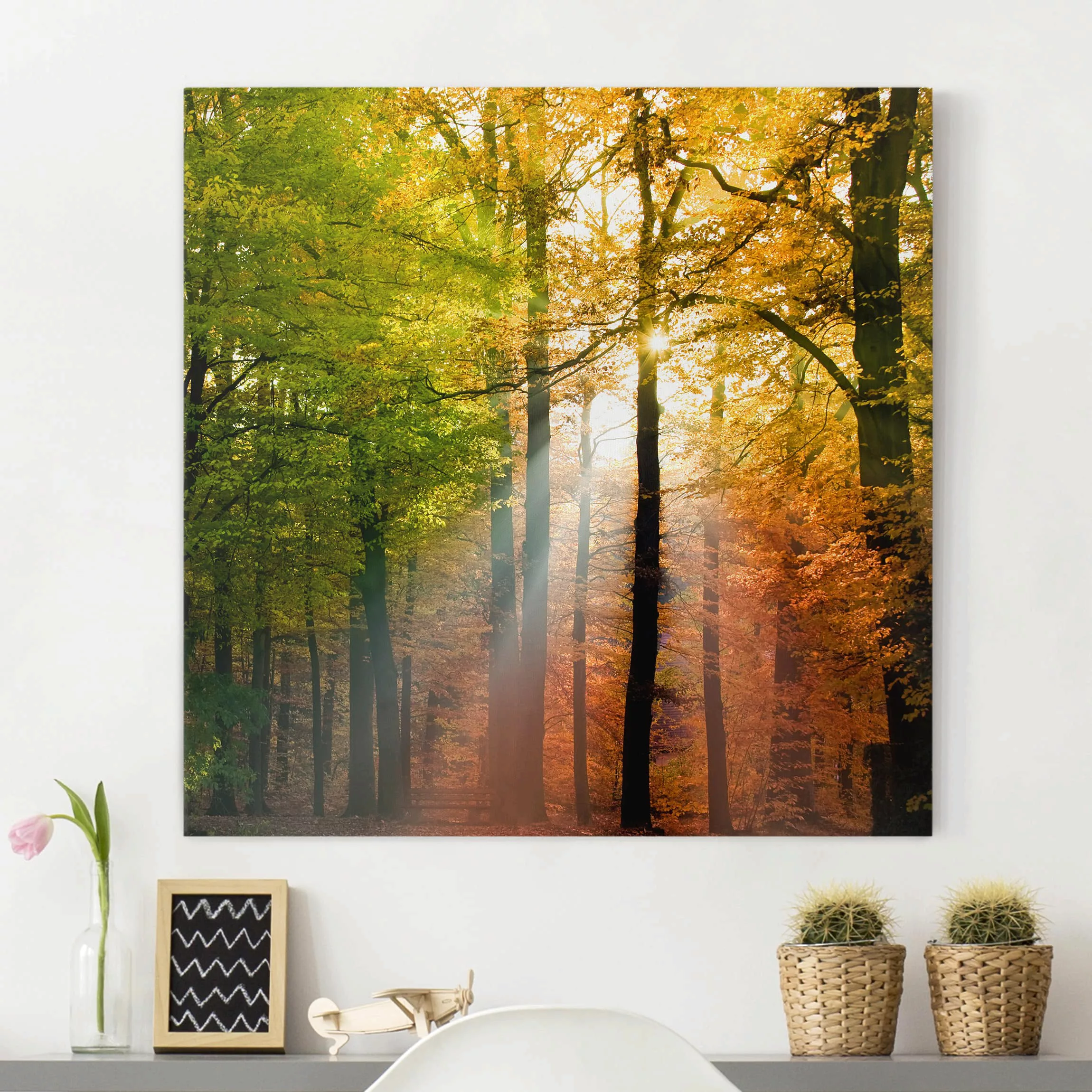 Leinwandbild Wald - Quadrat Morning Light günstig online kaufen