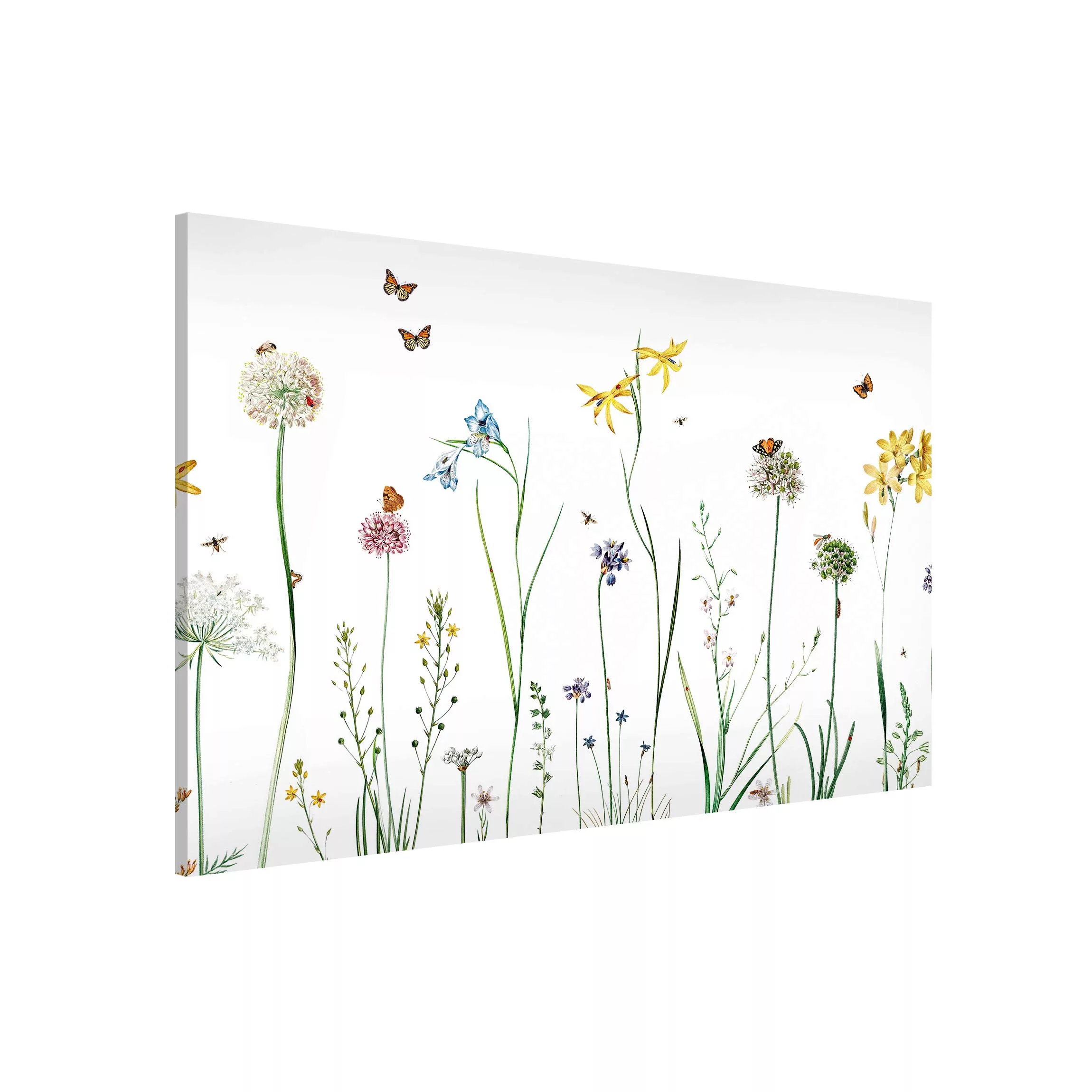 Magnettafel Tanzende Schmetterlinge auf Wildblumen günstig online kaufen