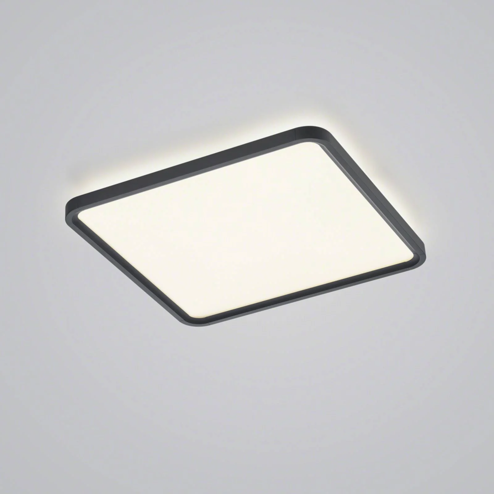 Helestra Vesp LED-Panel Backlight 61x61cm schwarz günstig online kaufen