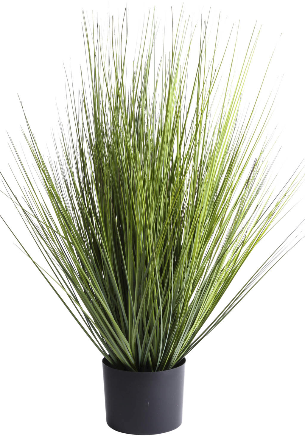 Botanic-Haus Kunstgras "Grasarrangement King Festuca" günstig online kaufen