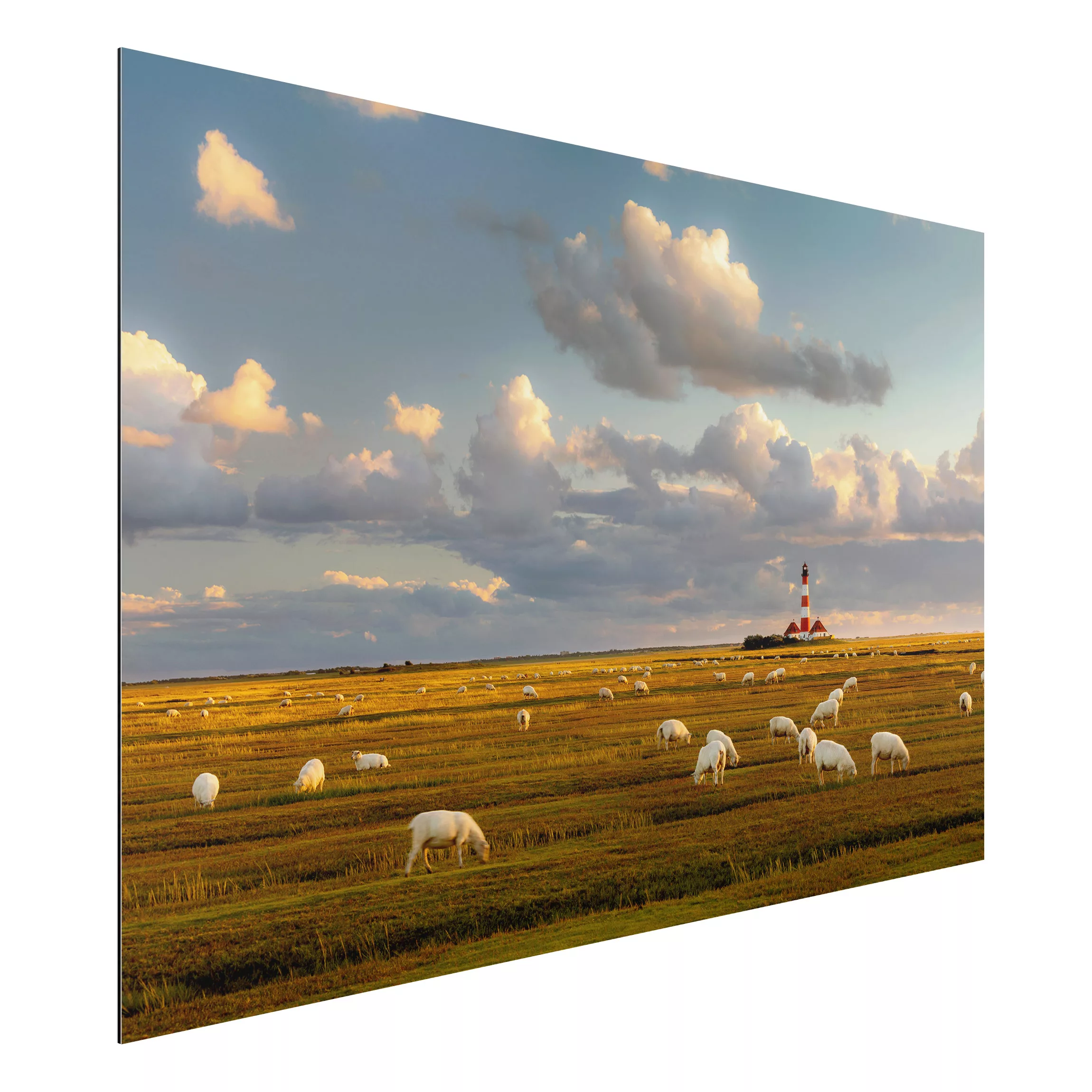 Alu-Dibond Bild Natur & Landschaft - Querformat 3:2 Nordsee Leuchtturm mit günstig online kaufen