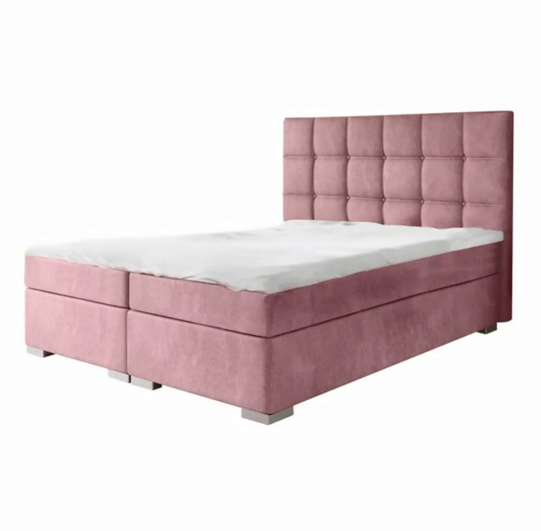 Furnix Boxspringbett KAITY 140/160/180x200 Bett mit Topper und silbernen Fü günstig online kaufen