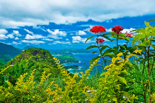 Papermoon Fototapete »INSEL-SEYCHELLEN BLUMEN KÜSTE GEBIRGE MEER PANORAMA« günstig online kaufen