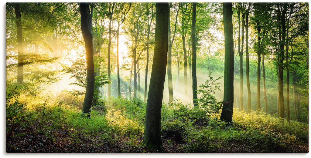 Artland Wandbild »Herbst im Wald II«, Waldbilder, (1 St.), als Alubild, Out günstig online kaufen