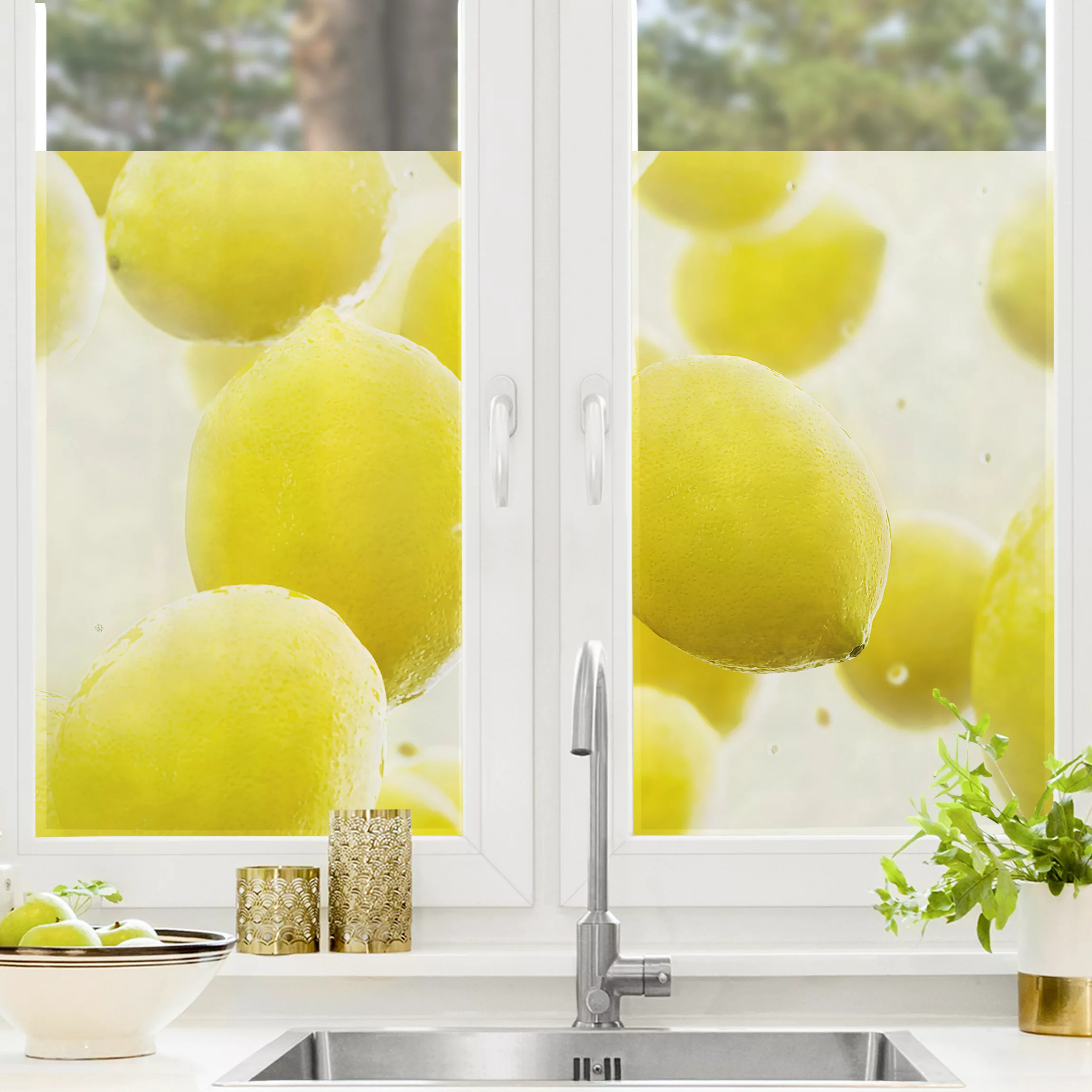 Fensterfolie Zitronen im Wasser günstig online kaufen