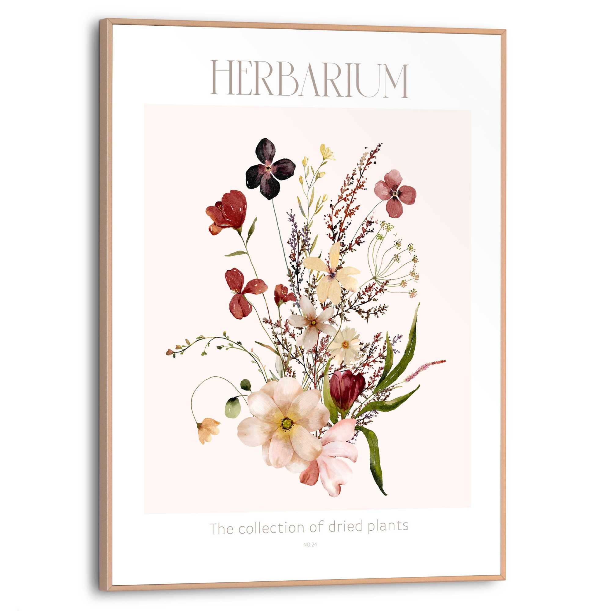 Reinders! Bild mit Rahmen »Herbarium« günstig online kaufen