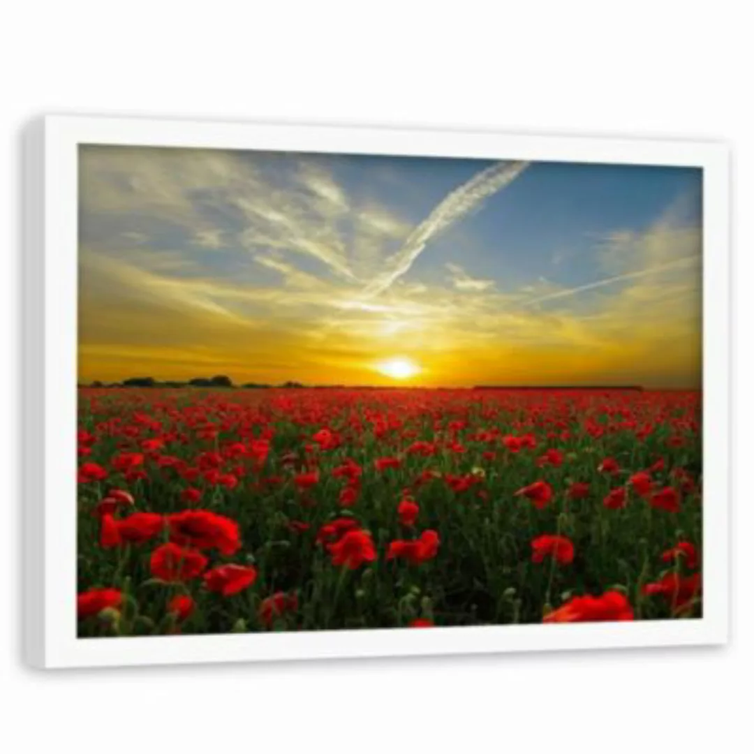 FEEBY® Kunst rote Mohnblumen Leinwandbilder bunt Gr. 90 x 60 günstig online kaufen