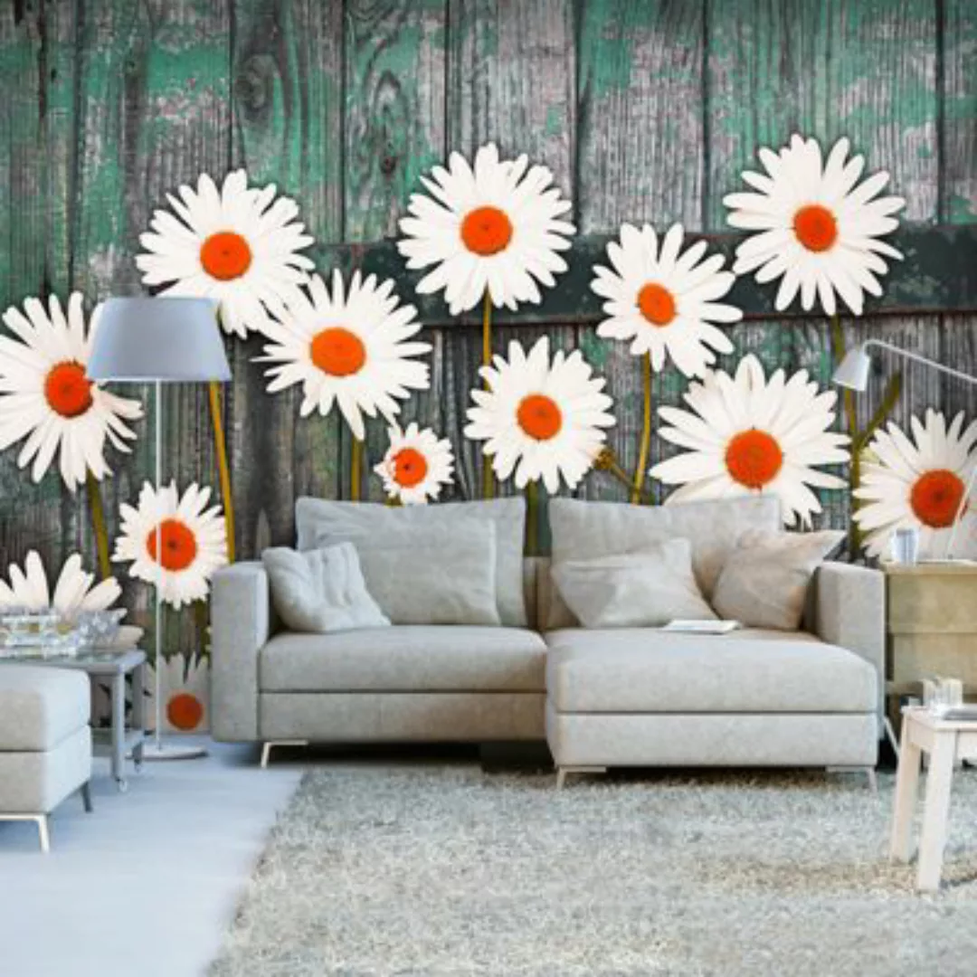 artgeist Fototapete Daisies Garden mehrfarbig Gr. 150 x 105 günstig online kaufen