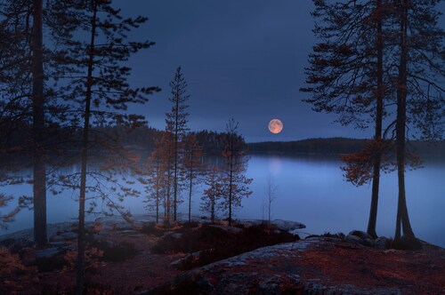 Papermoon Fototapete »Photo-Art NIKKI GEORGIEVA V, ROTER MOND« günstig online kaufen