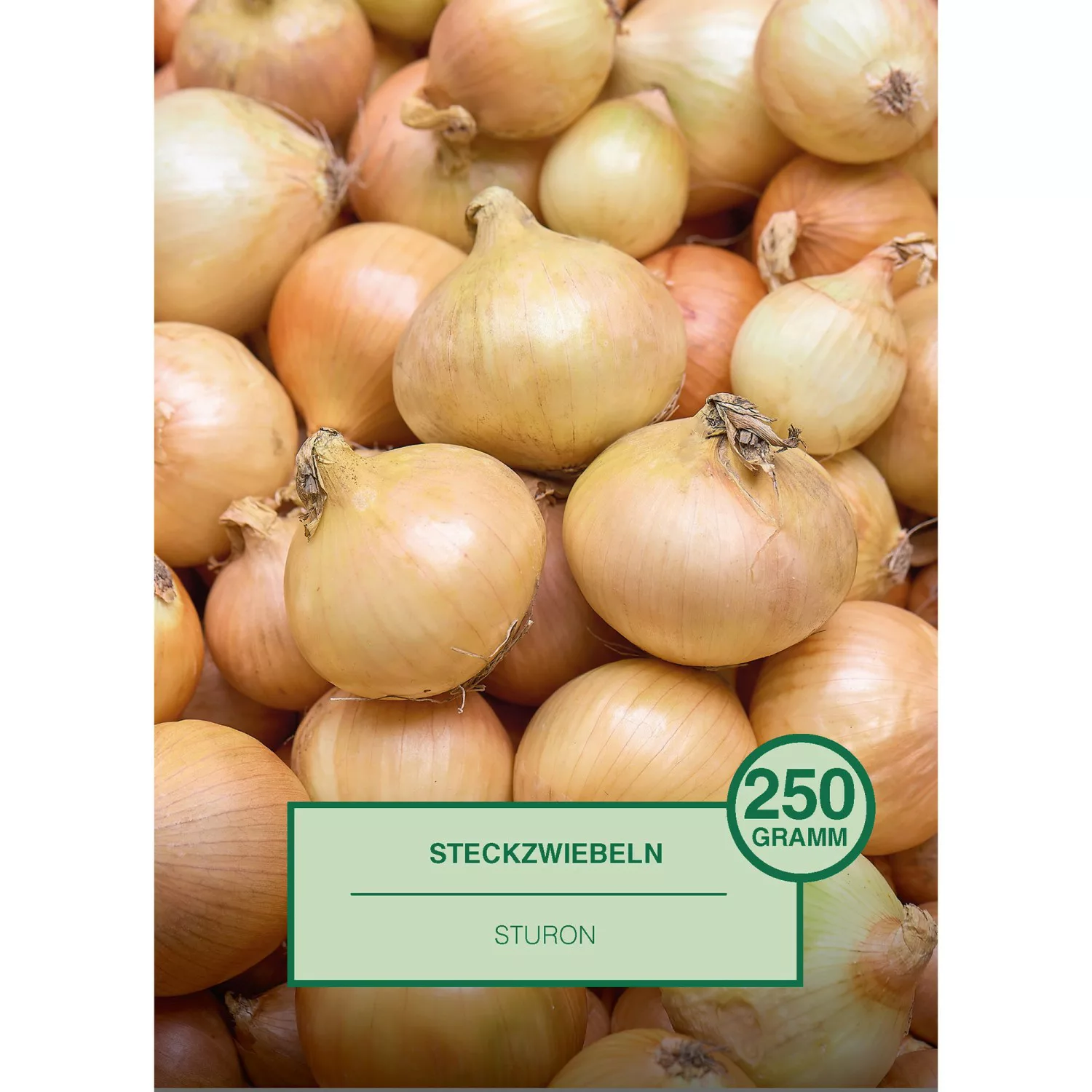 Steckzwiebel 250 Gramm Allium cepa Sturon günstig online kaufen