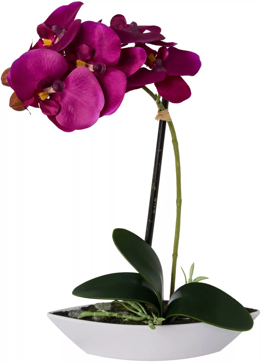 Creativ green Kunstorchidee "Phalaenopsis", 2er Set, in Kunststoffschale günstig online kaufen