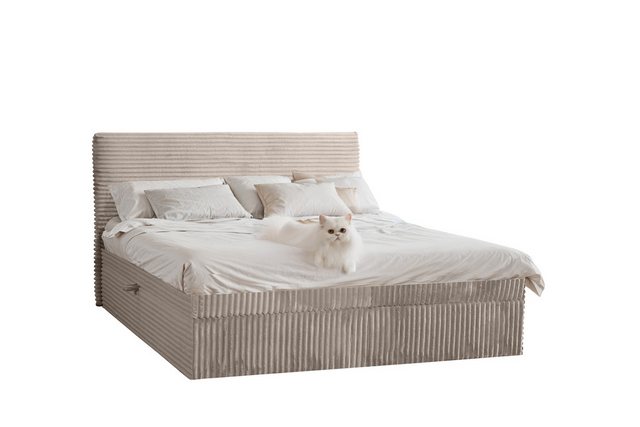 Kaiser Möbel Boxspringbett mit bettkasten und topper TRENTO, ohne Bein stof günstig online kaufen