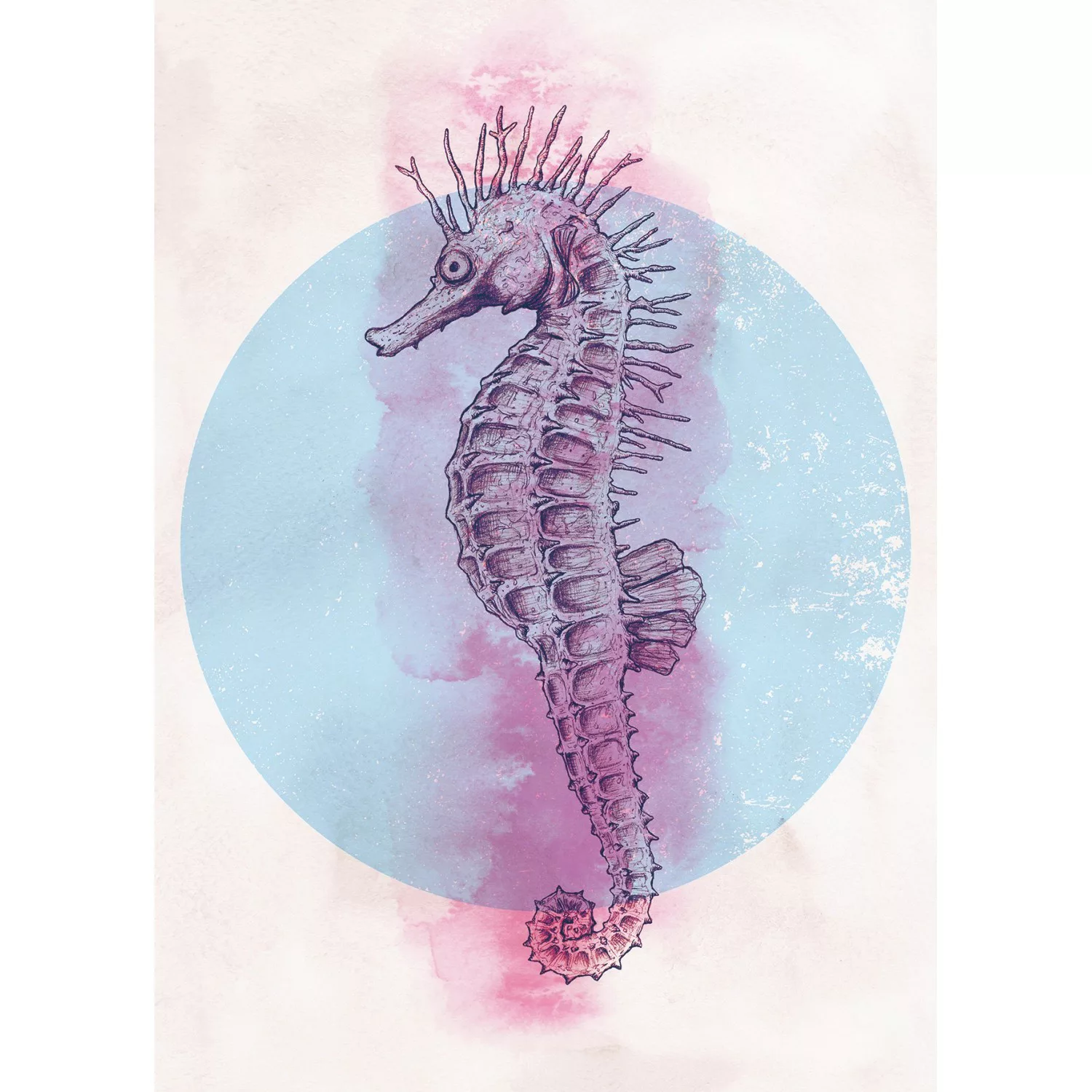 Komar Wandbild Sea Horse Circle 50 x 70 cm günstig online kaufen