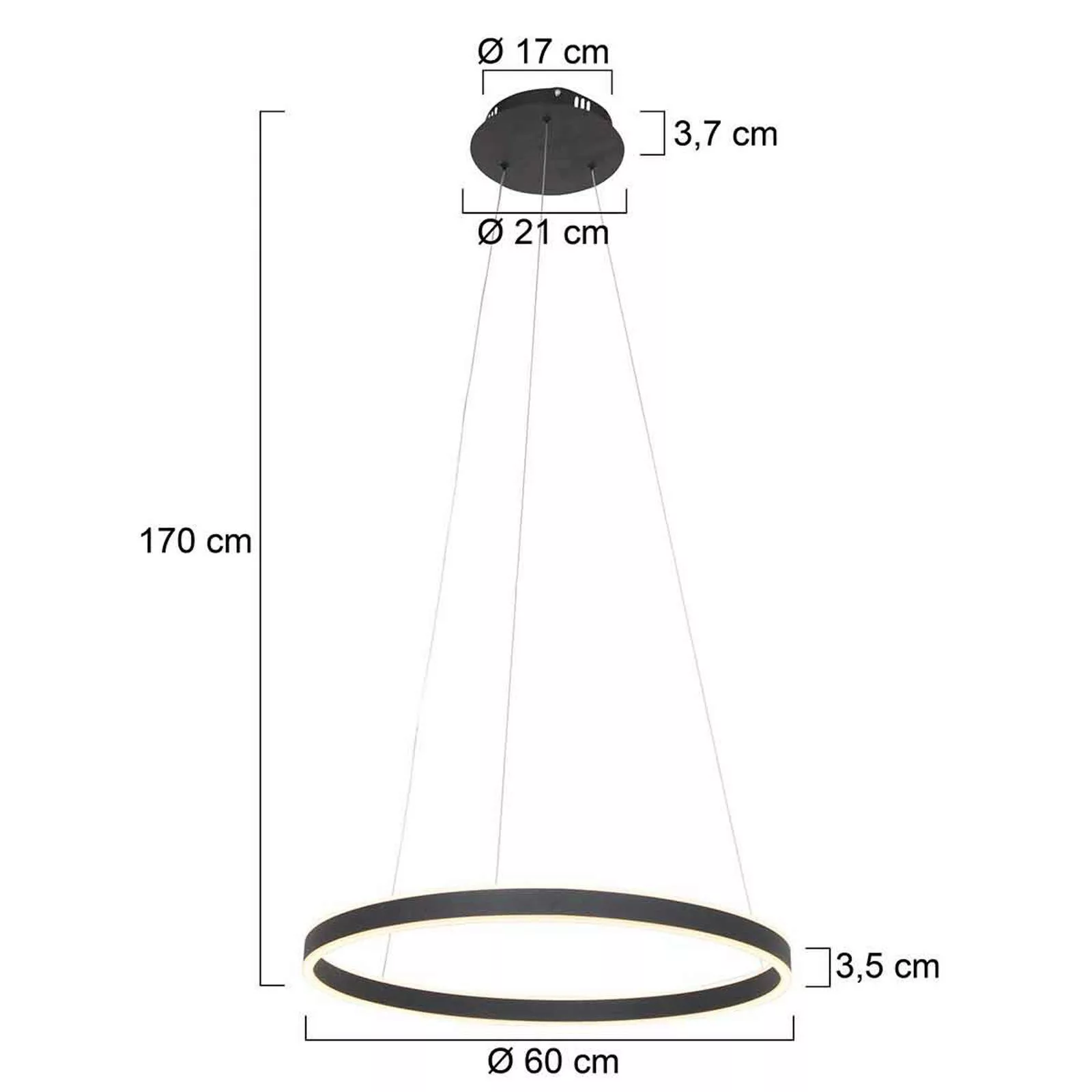 LED-Hängeleuchte Ringlux Ø 60cm 2-flammig schwarz günstig online kaufen