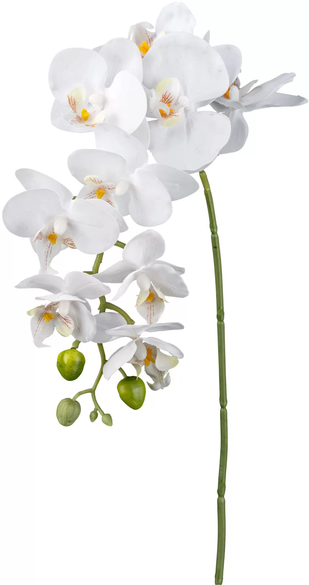 Creativ green Kunstorchidee "Orchidee Phalaenopsis", mit real-touch-Blüten günstig online kaufen
