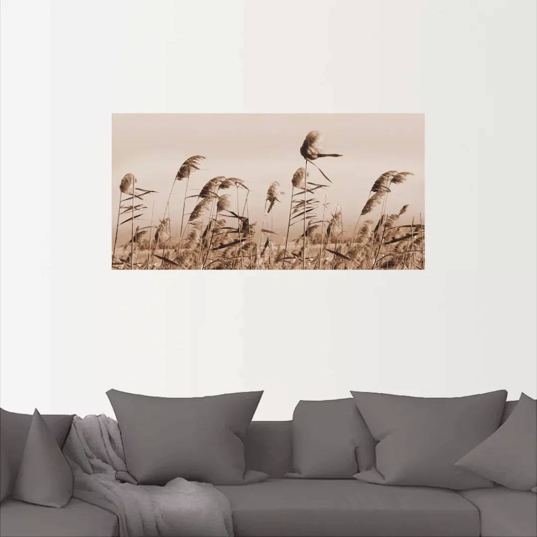 Artland Wandbild "Gräser", Gräser, (1 St.), als Alubild, Outdoorbild, Leinw günstig online kaufen