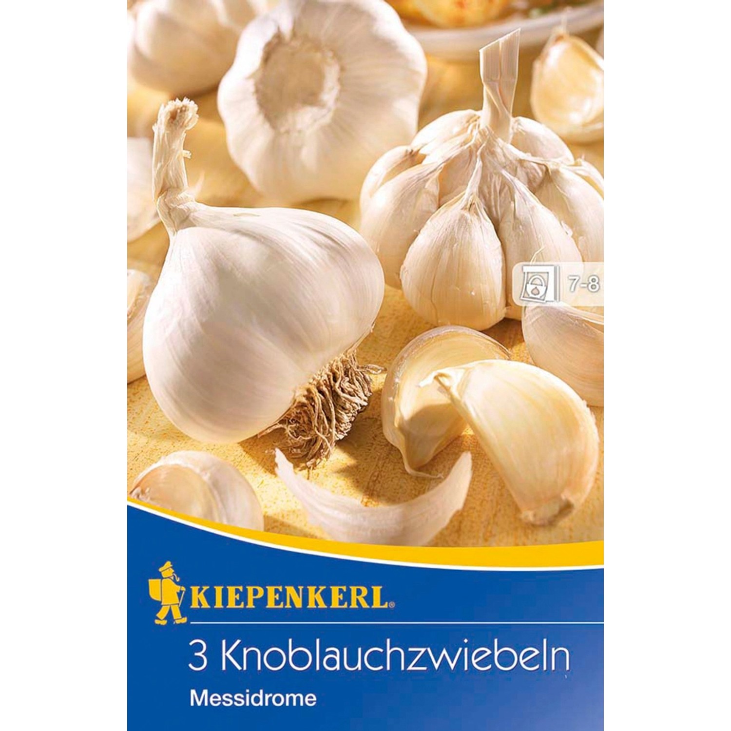 Kiepenkerl Knoblauch Messidrome günstig online kaufen