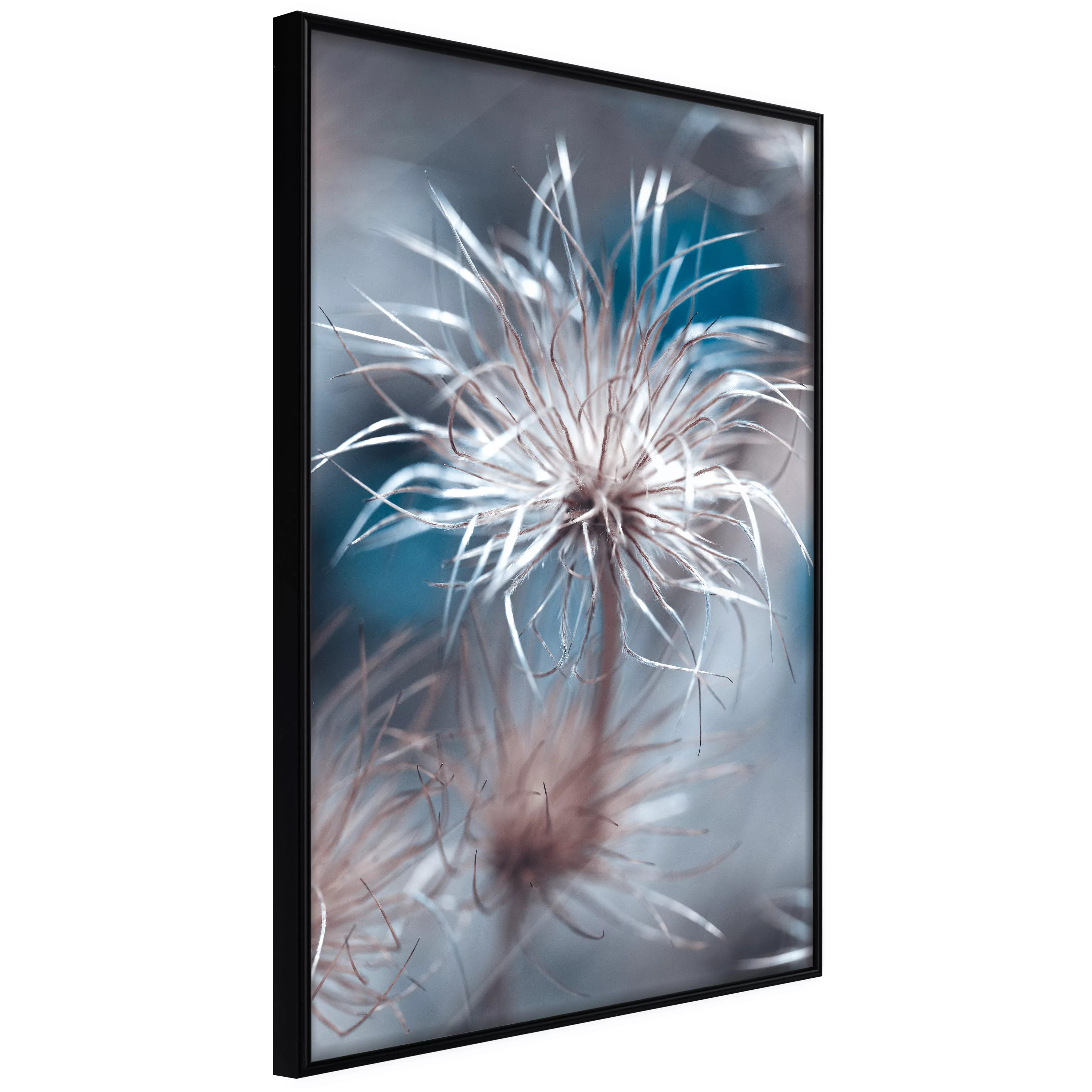 Poster - Like A Dandelion günstig online kaufen