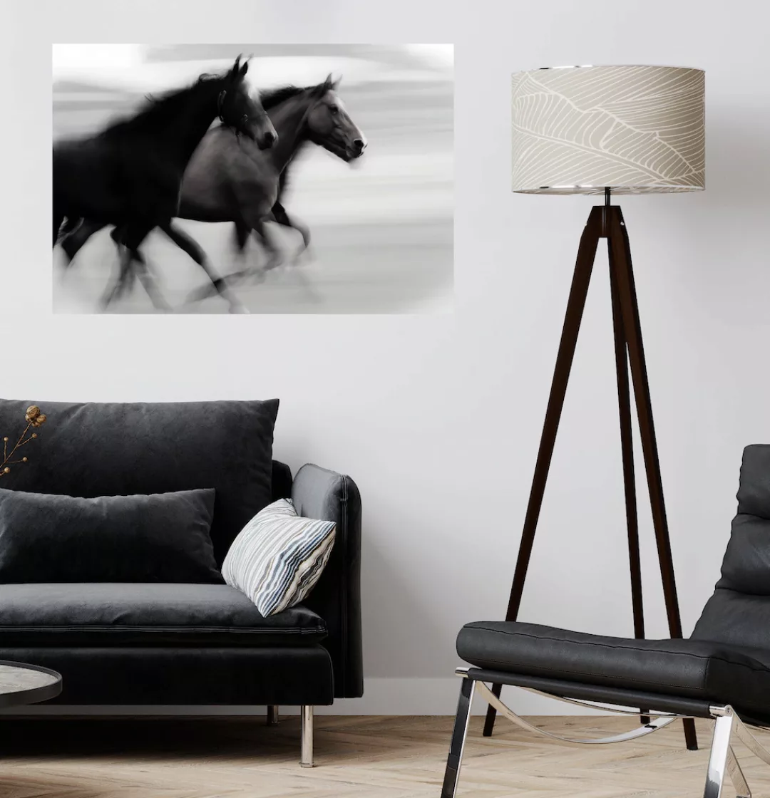 queence Wandsticker "Horses", (1 St.), Selbstklebend, kinderleichte Anbring günstig online kaufen