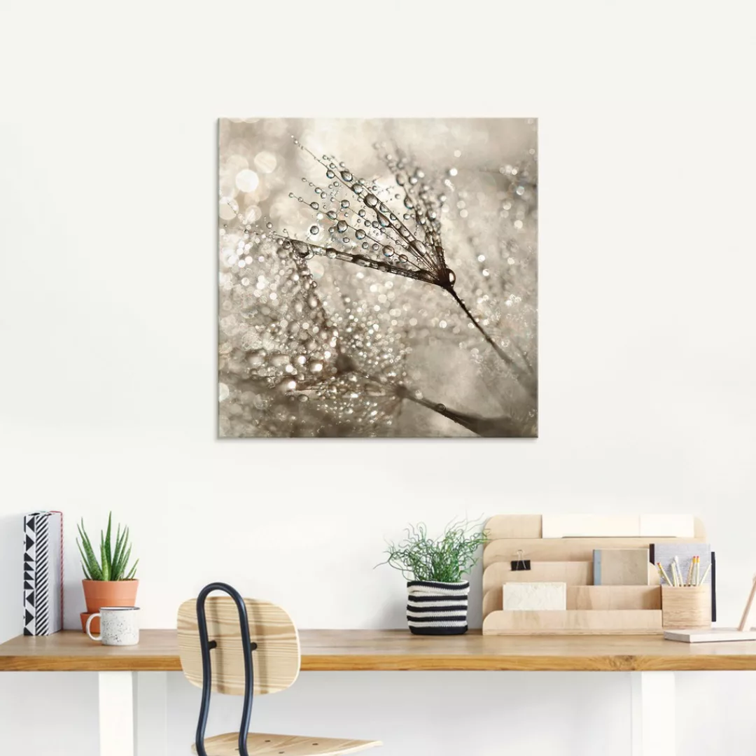 Artland Glasbild »Pusteblume Tautropfen I«, Blumen, (1 St.) günstig online kaufen