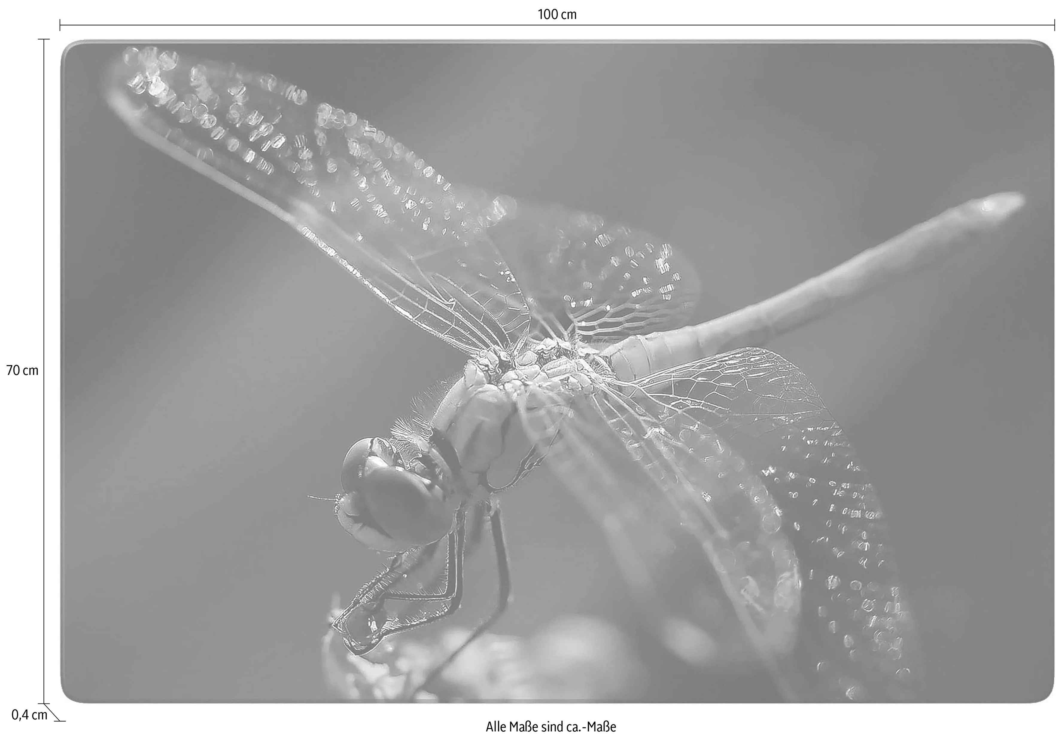 Wall-Art Glasbild »Dufour Libelle auf Tuchfühlung«, Landschaft, Glasposter günstig online kaufen