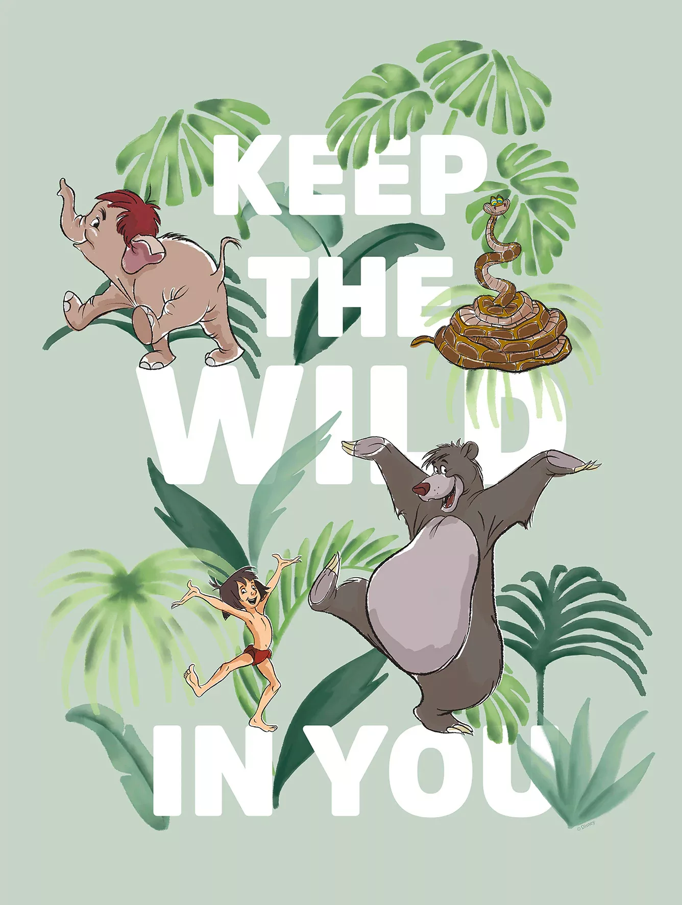 Komar Wandbild Jungle Book Wild 30 x 40 cm günstig online kaufen
