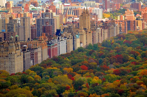 Papermoon Fototapete »Central Park« günstig online kaufen