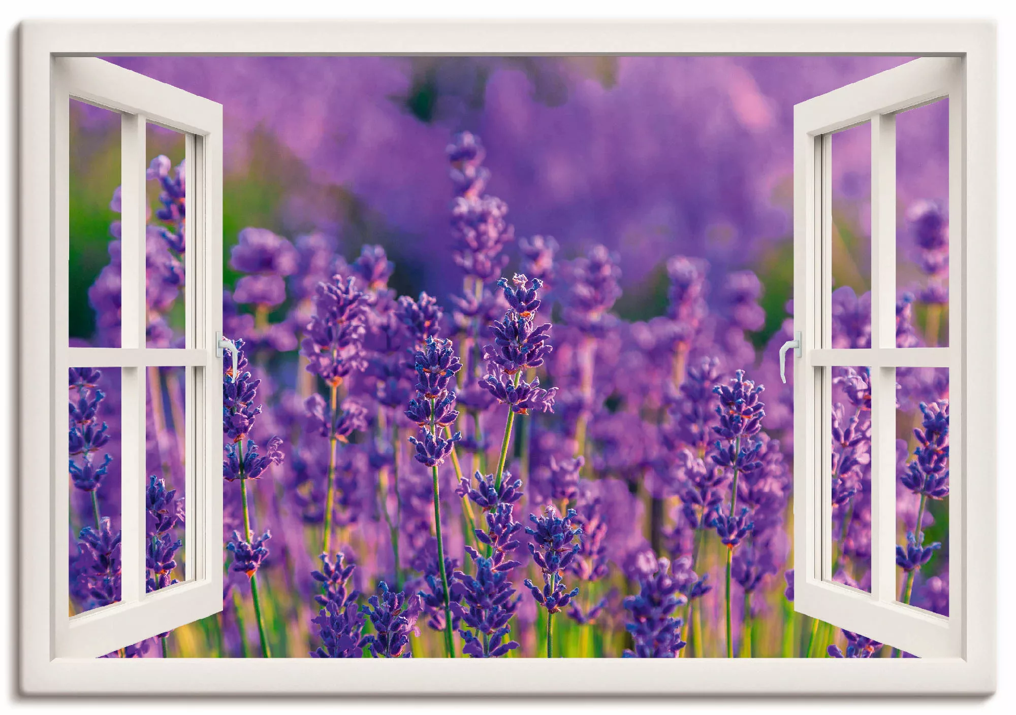 Artland Wandbild "Fensterblick Lavendelfeld in Tihany", Blumenwiese, (1 St. günstig online kaufen