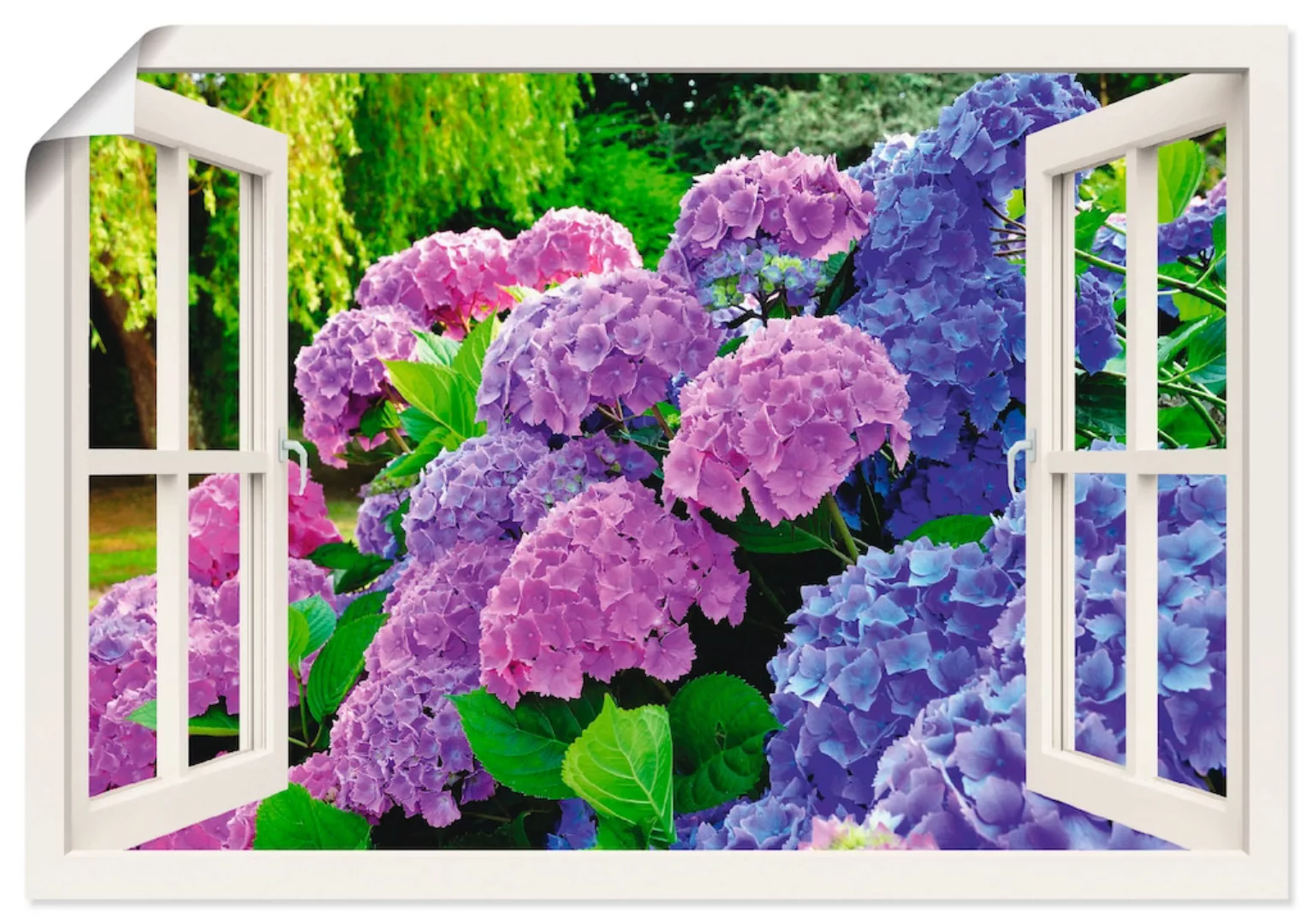 Artland Wandbild "Fensterblick Hortensien im Garten", Blumen, (1 St.), als günstig online kaufen