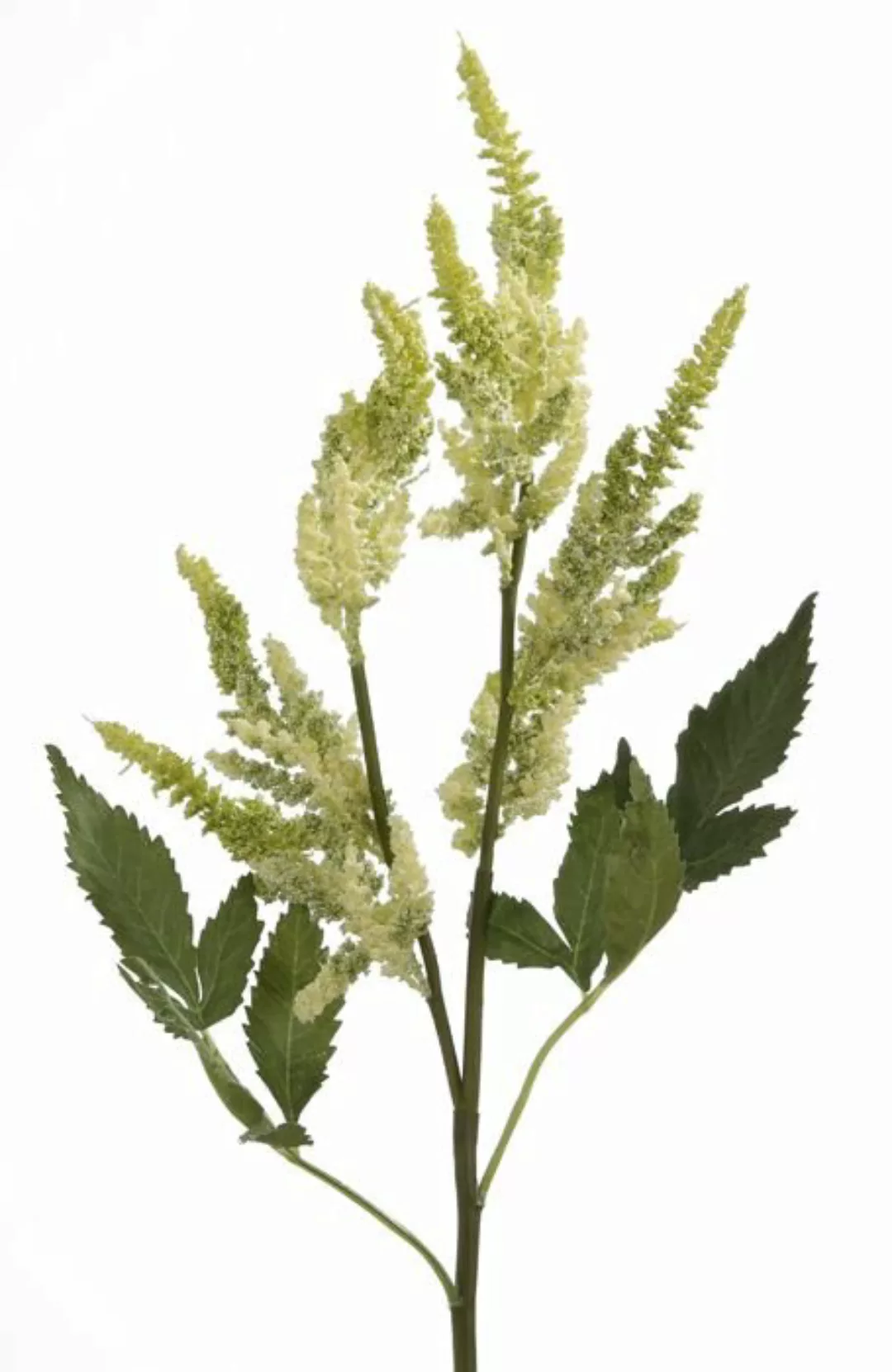 Flower & Style Kunstpflanzen & -blumen Prachtspiere soft grün 51 cm (grün) günstig online kaufen
