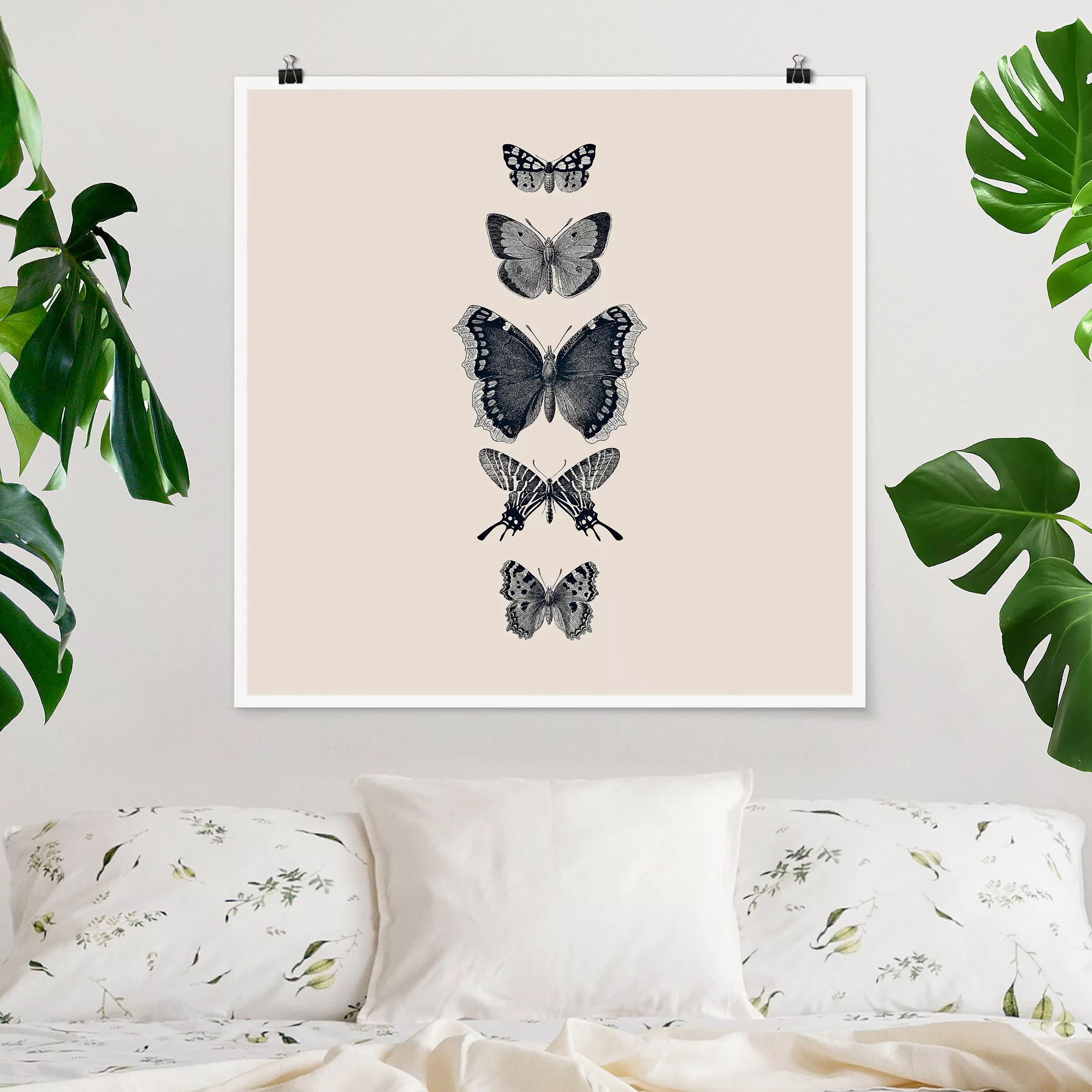 Poster Tusche Schmetterlinge auf Beige günstig online kaufen