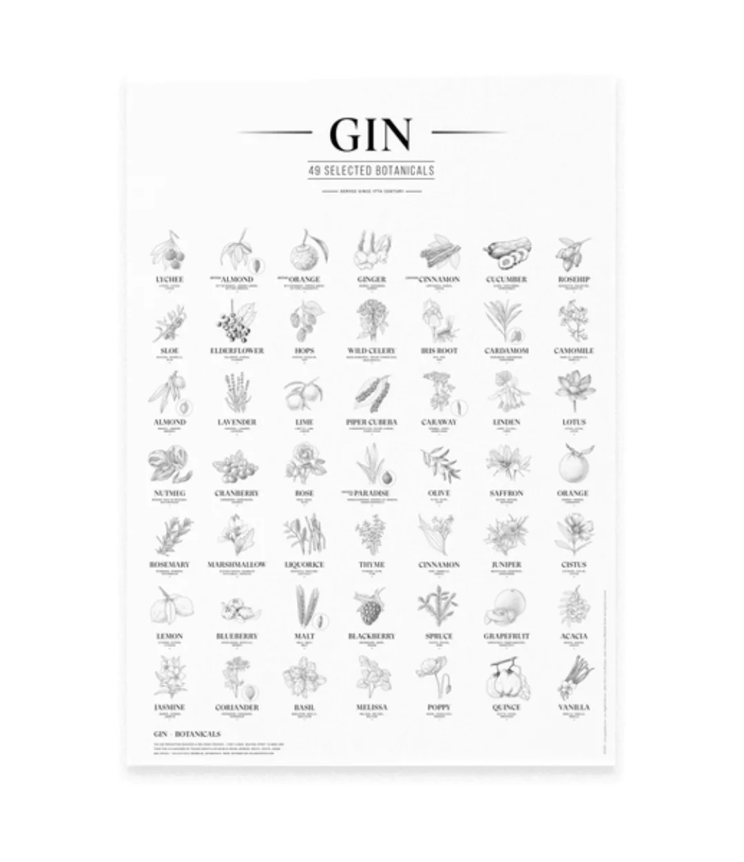 Gin Plakat, 49 Ausgewählte Kräuter Botanicals Gin Aromen Als Poster günstig online kaufen