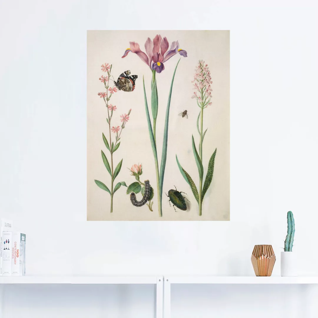 Artland Wandbild "Admiral, Rose Iris Knabenkraut.", Pflanzen, (1 St.), als günstig online kaufen