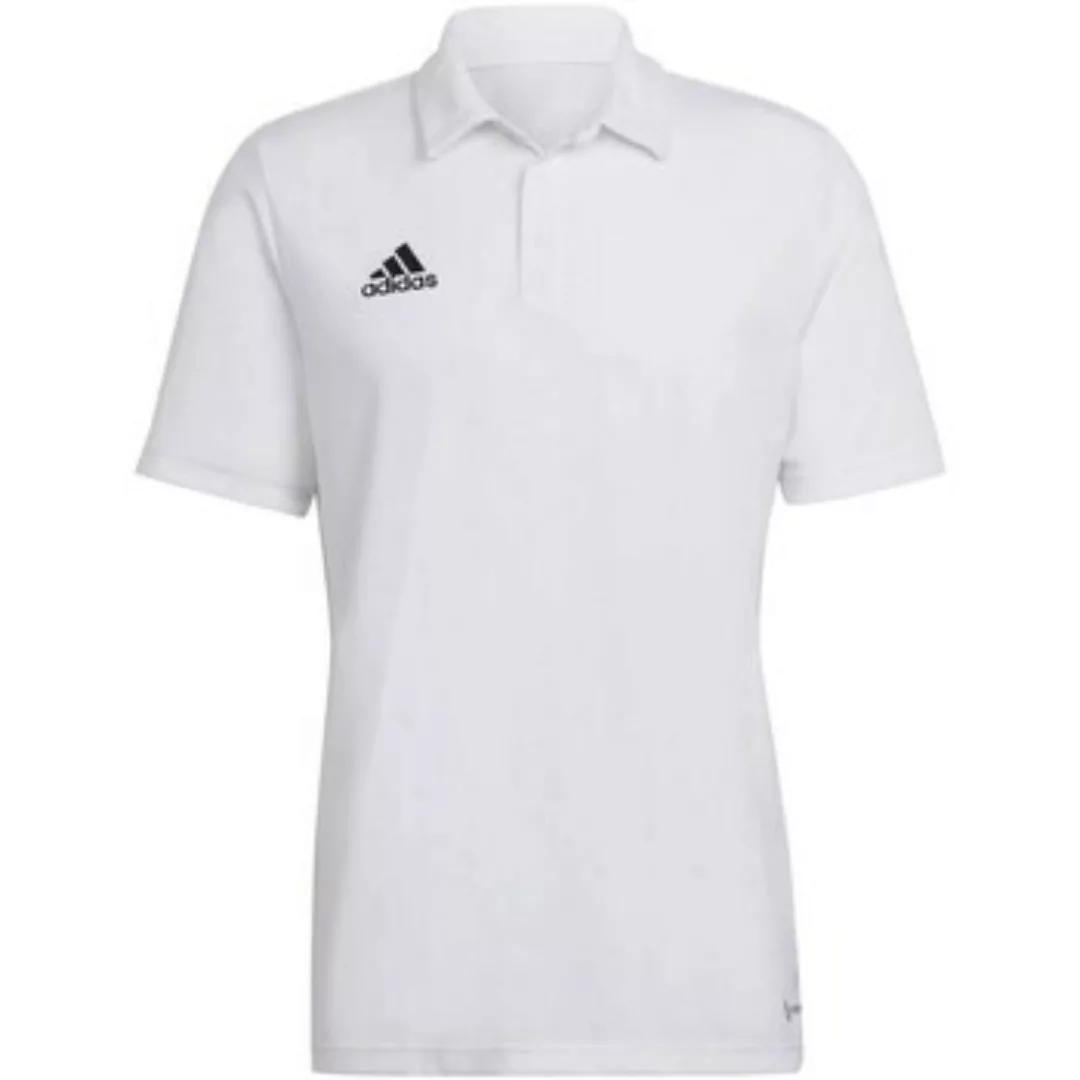 adidas  T-Shirts & Poloshirts Ent22 Polo günstig online kaufen