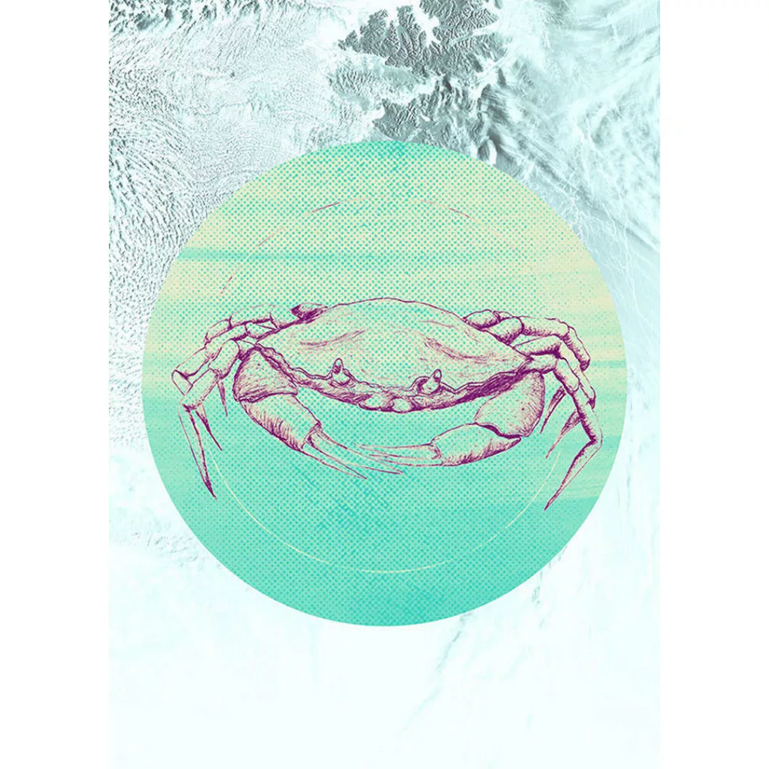 KOMAR Wandbild - Crab Black - Größe: 50 x 70 cm mehrfarbig Gr. one size günstig online kaufen